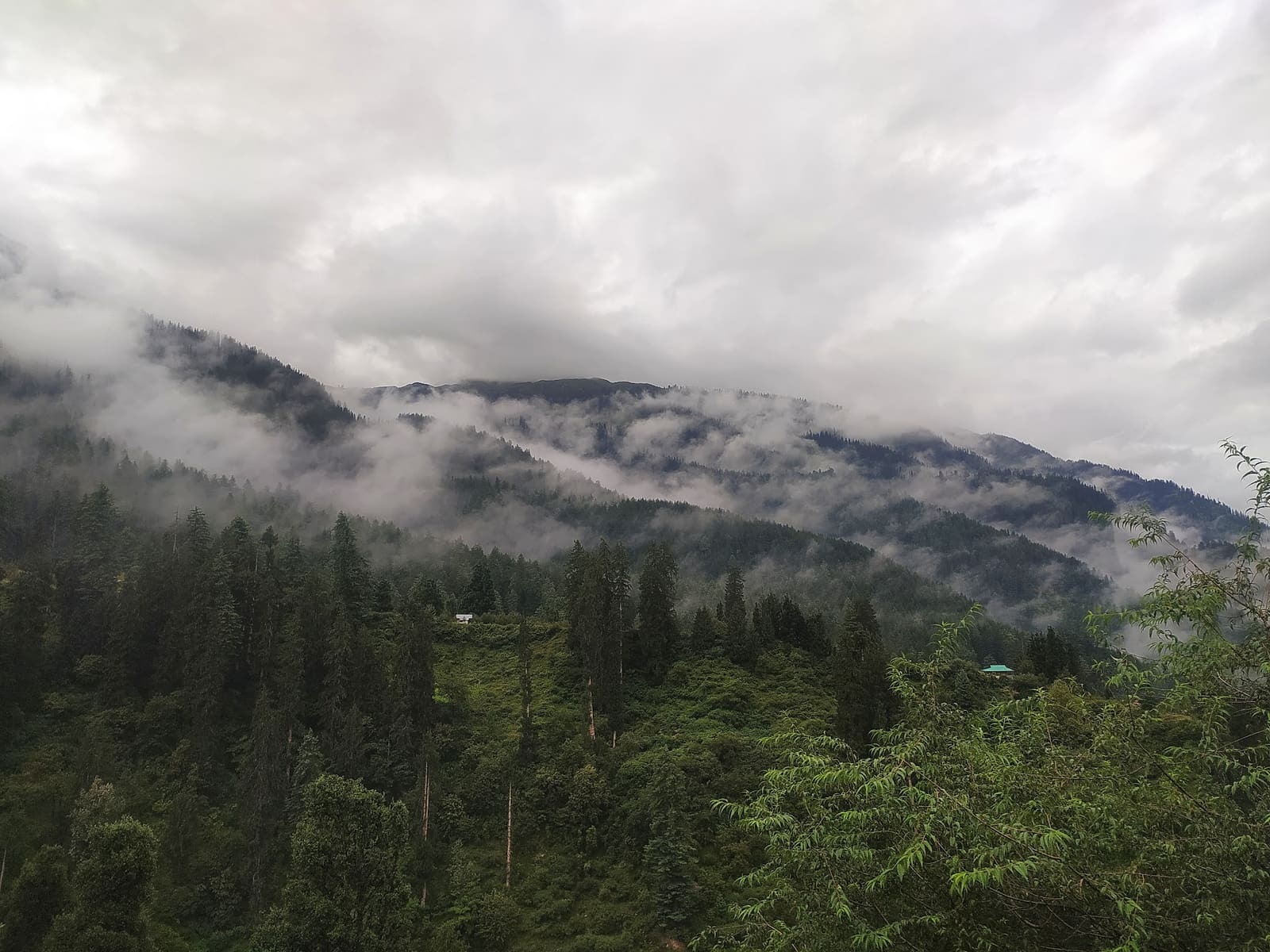 Mist rolling through a forested Himalayan valley under low cloud